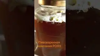 NEPRAGA  Волгоград   вкуснейшее Бойлерное пиво