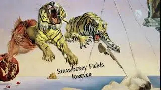 10 - Strawberry fields forever - Stin