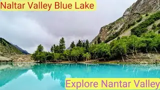 Naltar Valley Visiting View Point Nagar #nagar #naltarvalley #bluelake #Satrangilake