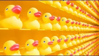 【点播】Leetcode 528(medium) Random Pick with Weight【Binary Search/Random】中文