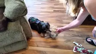 2015-12-25 Earl opens present