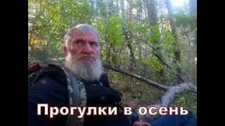 Прогулки в осень 24