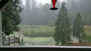 afternoon thunderstorm at the ranch