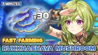 Rukkhashava Mushroom: Quick Farming Locations & Fast Routes | Genshin Impact Sumeru
