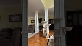 Tal_on Mr Krabs yelling 