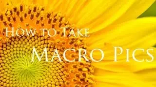 How to Macro Photography: Close Ups and Bokeh