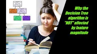 Why Decision Tree Machine Learning algorithm is NOT affected by feature magnitude  