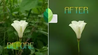 How to BLUR BACKGROUND perfectly in snapseed