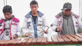 Son del Diablo - Marimba Todosantera