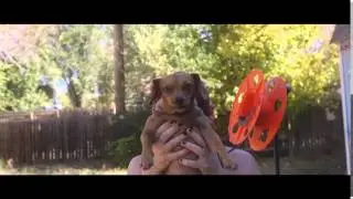 Dolly Zoom Test