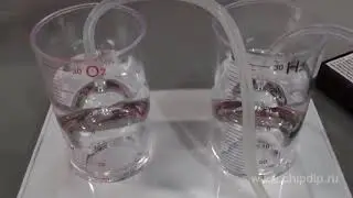 Топлевный элемент KNS09