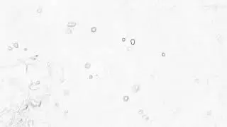 0x80070091