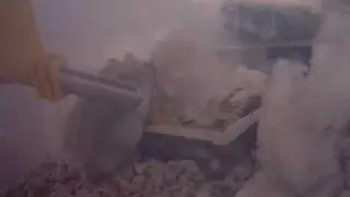 Hamsters apareandose, copulando o como querais llamarle jajajaja! EN EL PRIMER SEGUNDO !