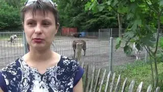 КТО СЪЕЛ БОТИНОК В ЗООПАРКЕ?! Новая заставка!