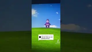 Yo What?!
