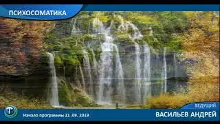 Медитация. Водопад здоровья.