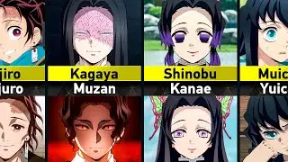 Similar Demon Slayer Characters