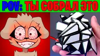 Радостные лица Беллы (POV: Ты собрал это)