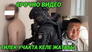 Эл душманы тилек келе жатабы учакта