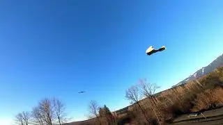 Chasing a Caipi and a Wraith