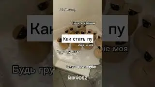 Как стать пу 