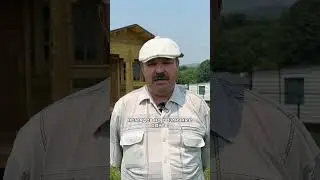 Деревянная бани из мини-бруса #баня #стройка #дача #ковчег