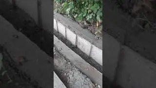 Drainage work on the side of street