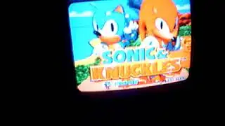 Sonic and Knuckles 30th Anniversary!