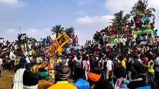 Bukkasagaram hori habba 2018 #Part_3 | Krishnagiri | Bull race | Atthu Thiruvizha | Jallikattu