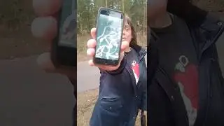 It's Chansey Community Day on Pokémon Go at Center Parcs #pokemongo #centerparcs #youtubeshorts