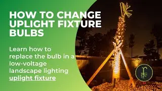How to Change an Uplight Bulb | Outdoor Landscape Lighting Guide