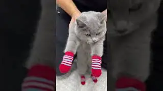 I bought socks for the little one 