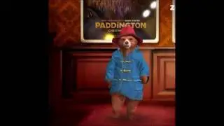 Paddington Oh God Zoobe