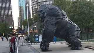 Primal live! (Livestream footage)