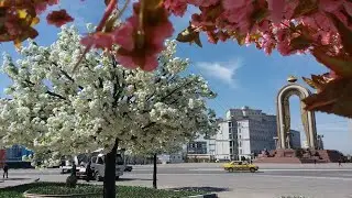 Маре азоби сахт бе модар