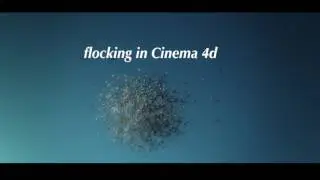 arnold  render flocking Maxon Cinema 4d