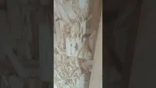 обшивка осб листами