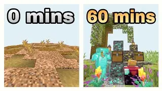 Getting rich in Minecraft skyblock in one hour