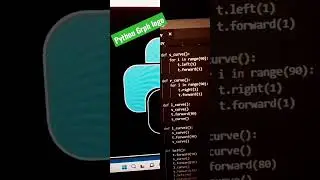 software engineer 