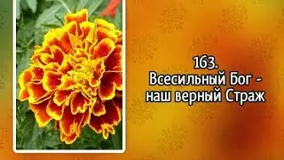 Гимны надежды 163 Всесильный Бог - наш верный Страж (-)