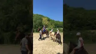 Водопады(1)