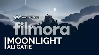 Moonlight - Ali Gatie