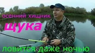 ЩУКА на кружки и спиннинг. Берет ли щука ночью осенью живца? ОКУНЬ на спиннинг. 1часть