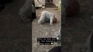Yoga for babies! Downward Dog Pose by Hannah!