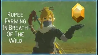 How To Farm Rupees In BotW