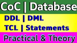 Database Management System | DBMS |  SQL Statement ከመጠቀማችን በፊት ማወቅ ያለብን ነገሮች። | Video3