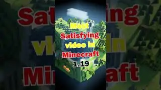 This MINECRAFT VIDEO will SATISFY YOU!!🤩