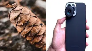 The Best Macro Lens for iPhone 12