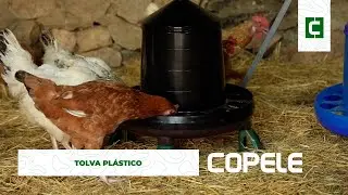 Tolva de Plástico para Aves | Copele