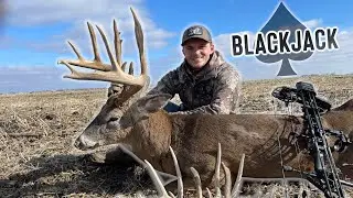 BOWHUNTING IOWA Whitetails // 160” BLACKJACK (self filmed)